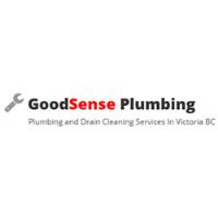 GoodSense Plumbing and Drain Cleaning image 1